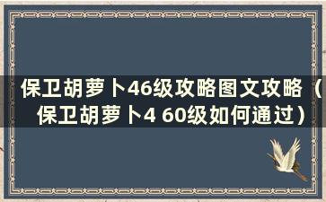 保卫胡萝卜46级攻略图文攻略（保卫胡萝卜4 60级如何通过）